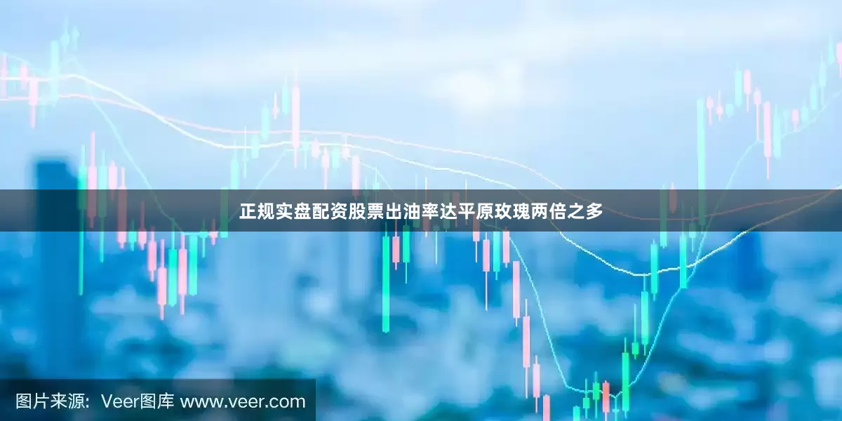 正规实盘配资股票出油率达平原玫瑰两倍之多