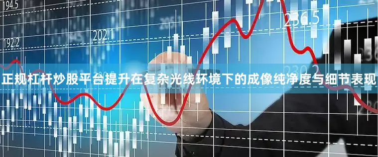 正规杠杆炒股平台提升在复杂光线环境下的成像纯净度与细节表现